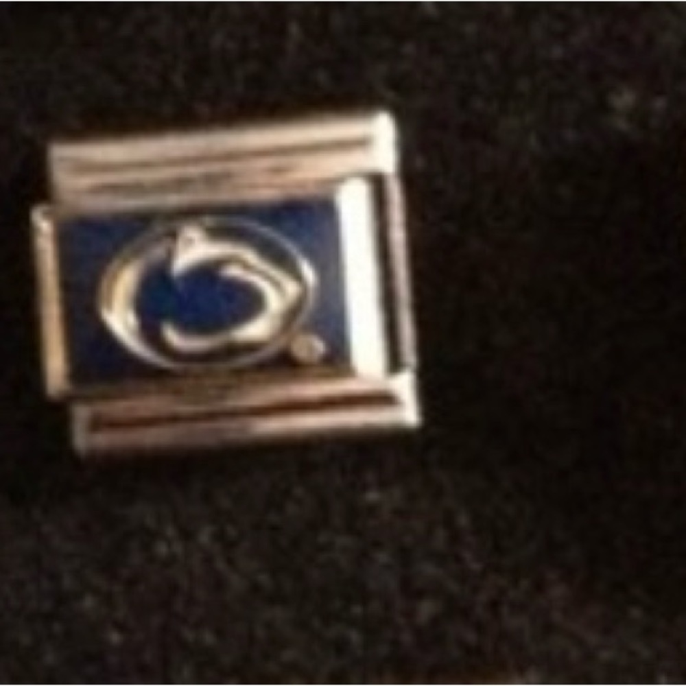 ISO Searching for Penn State link charm.